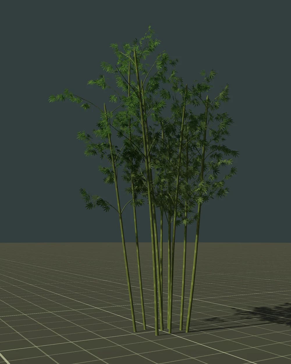 竹