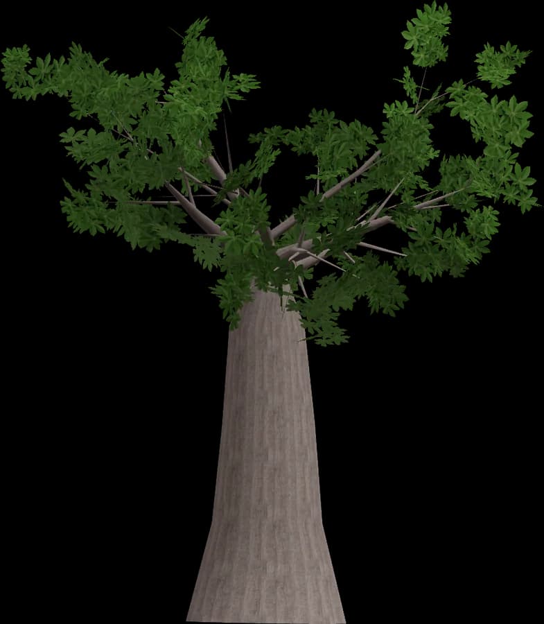 Baobab