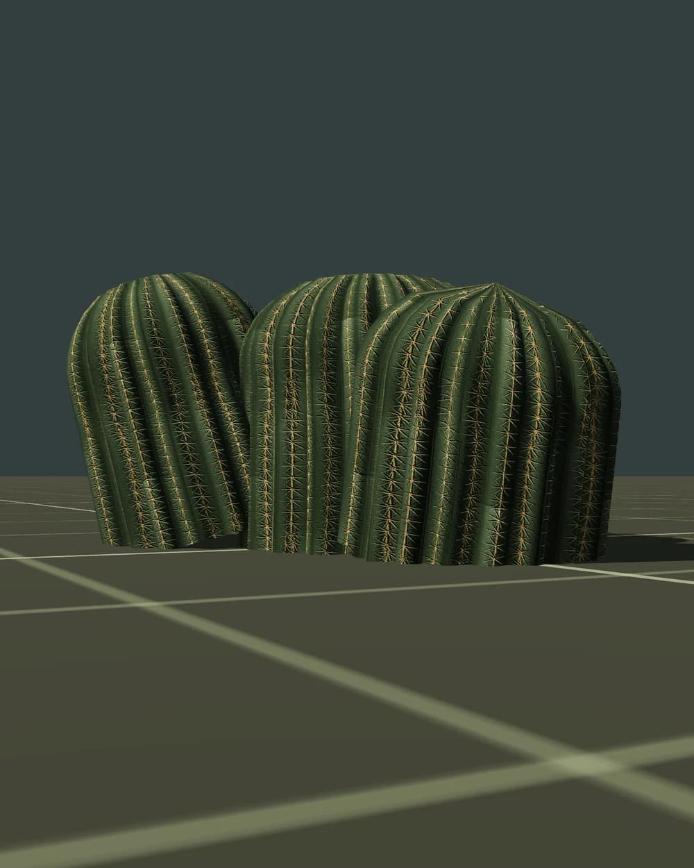 Cactus tonneau
