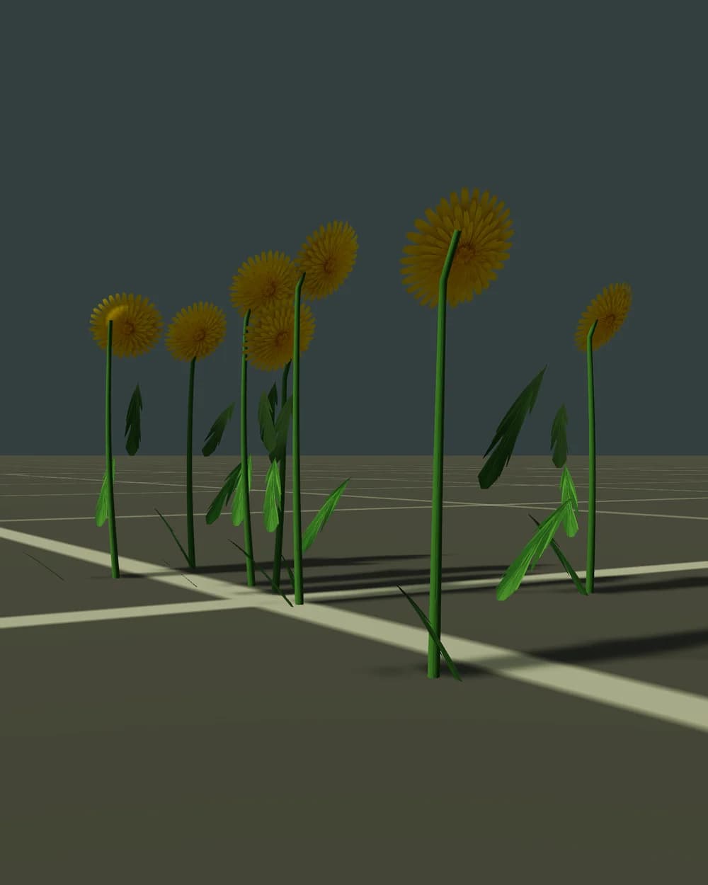 Dandelions