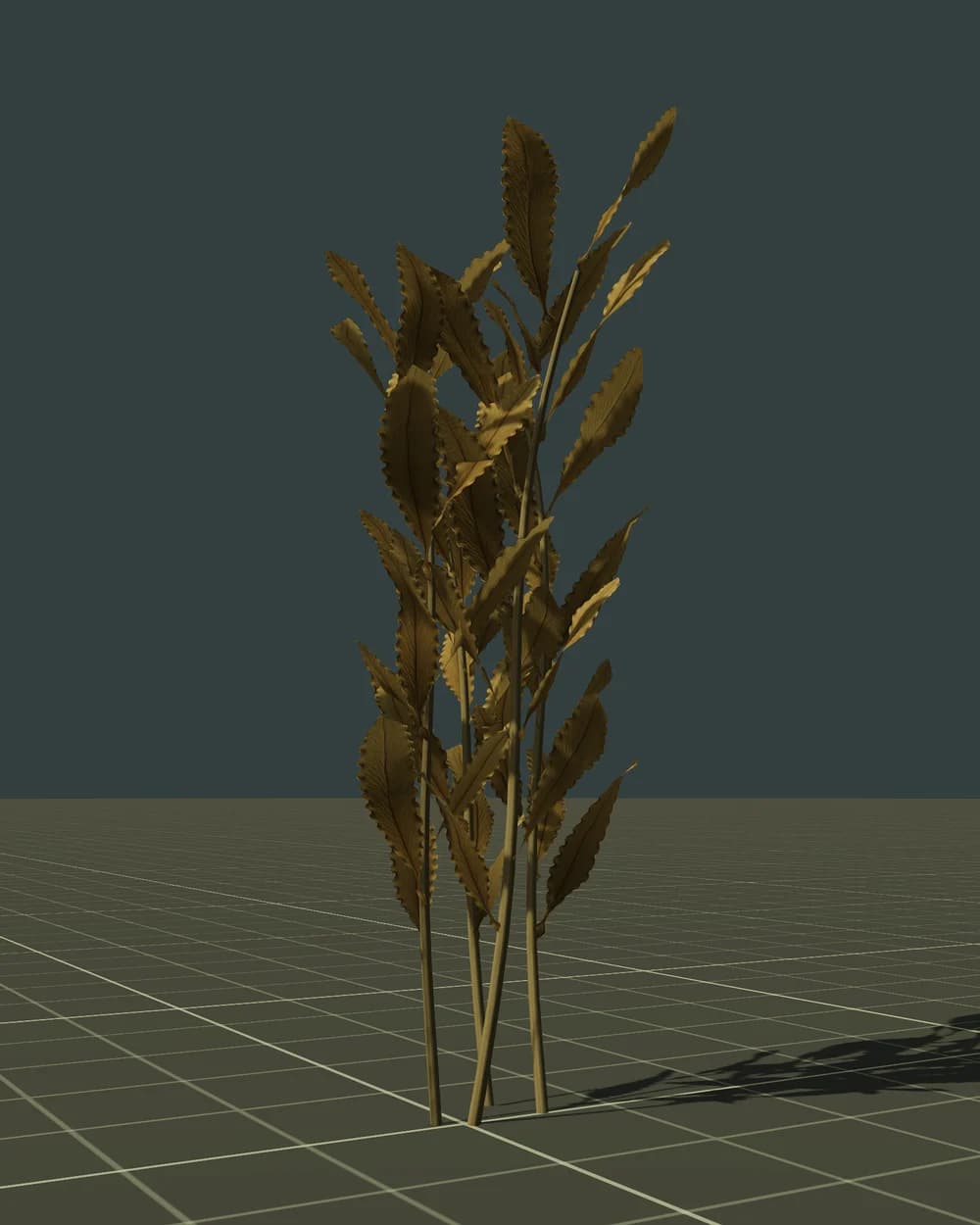 Laminaire