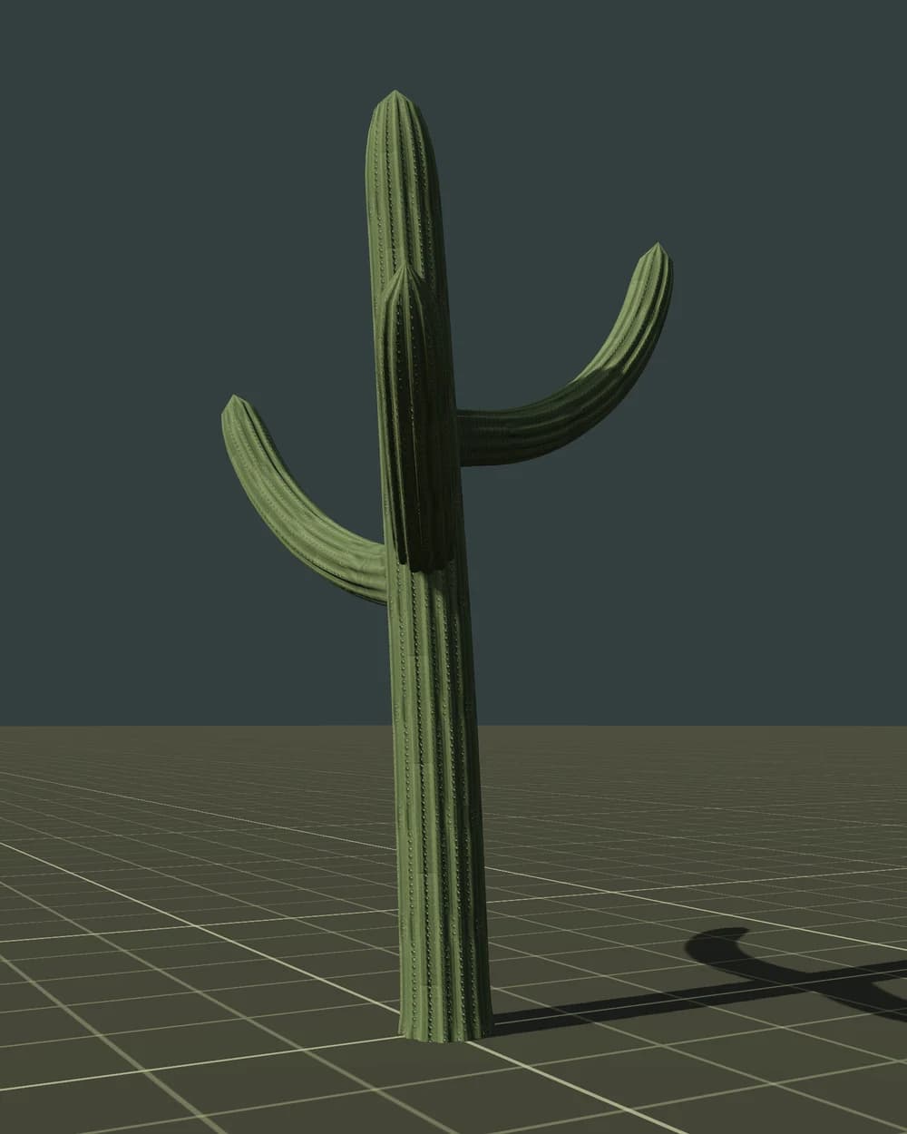 Saguaro