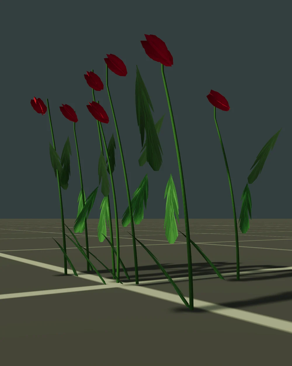 Tulips