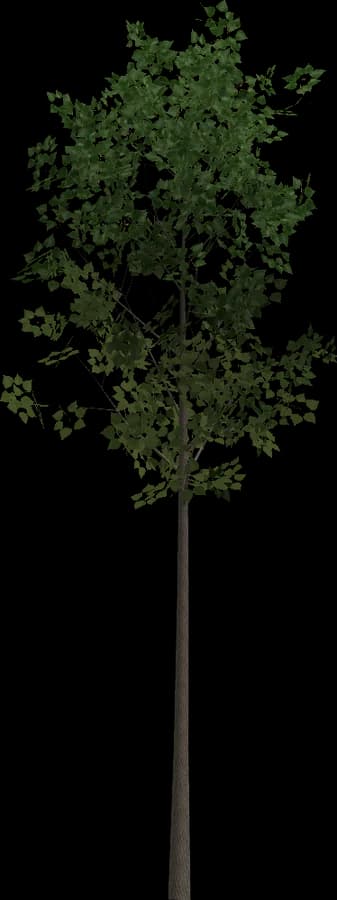 Aspen