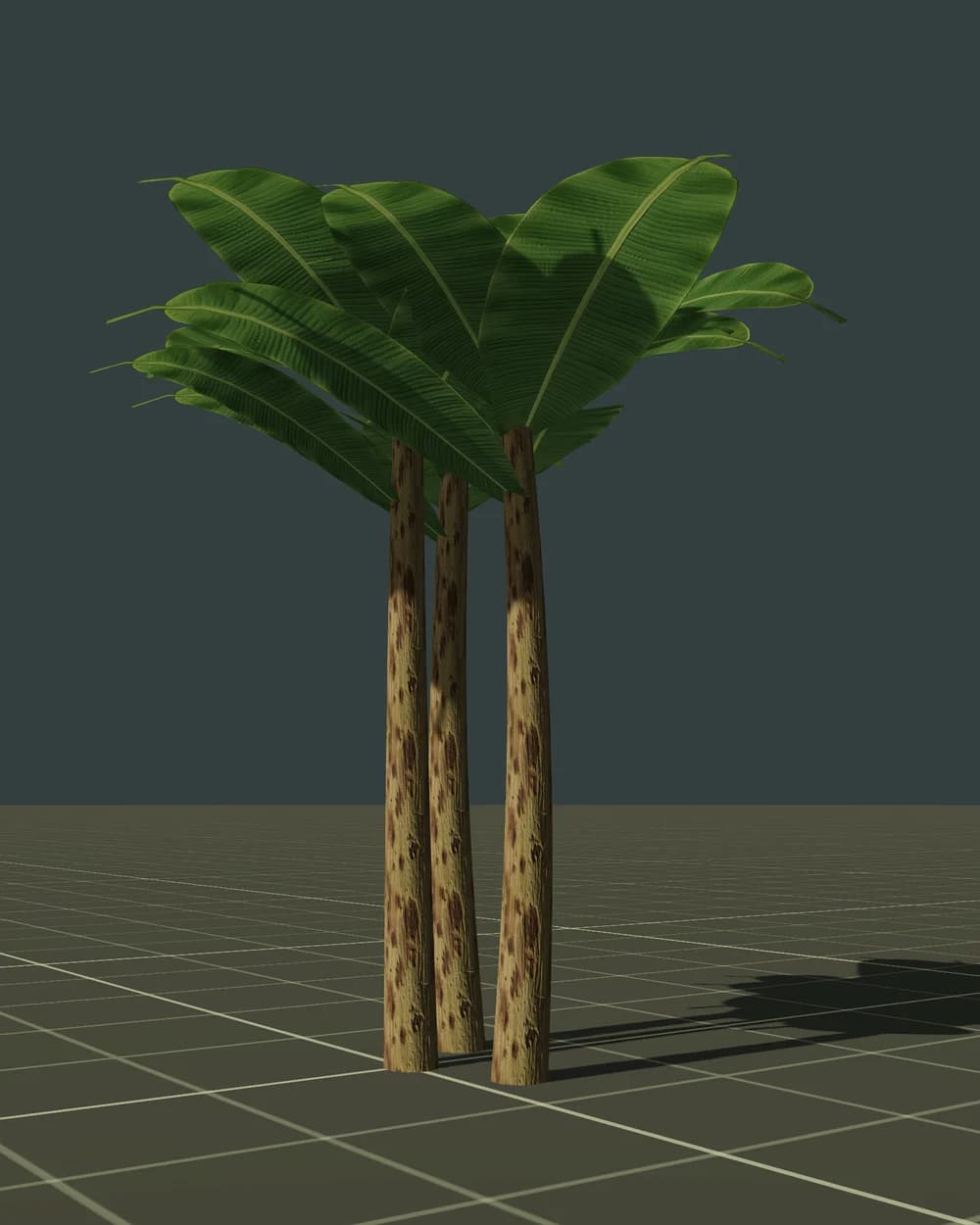 Bananowiec — 3D