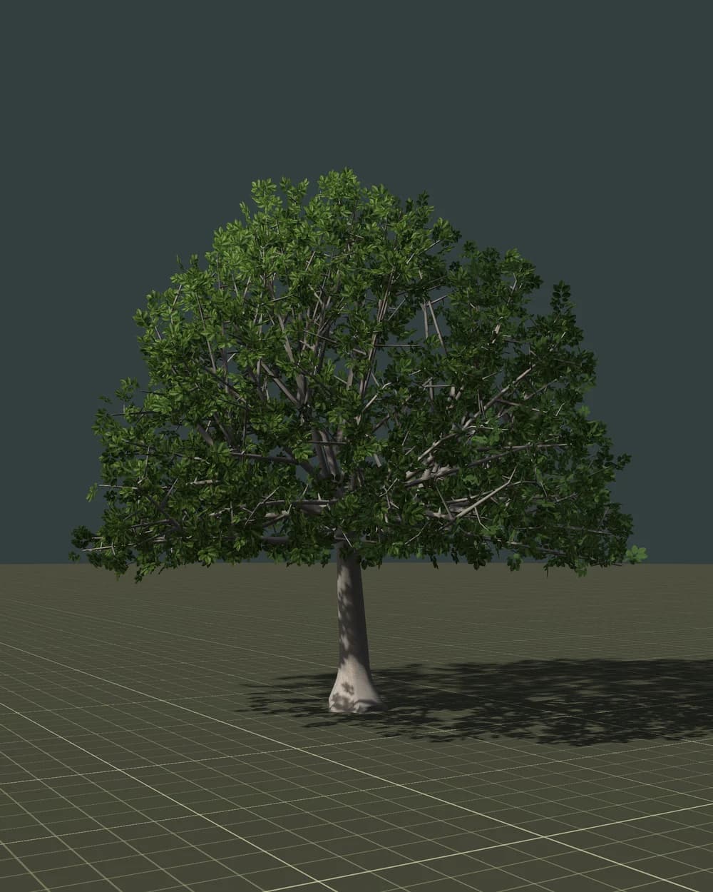 Faggio — 3D