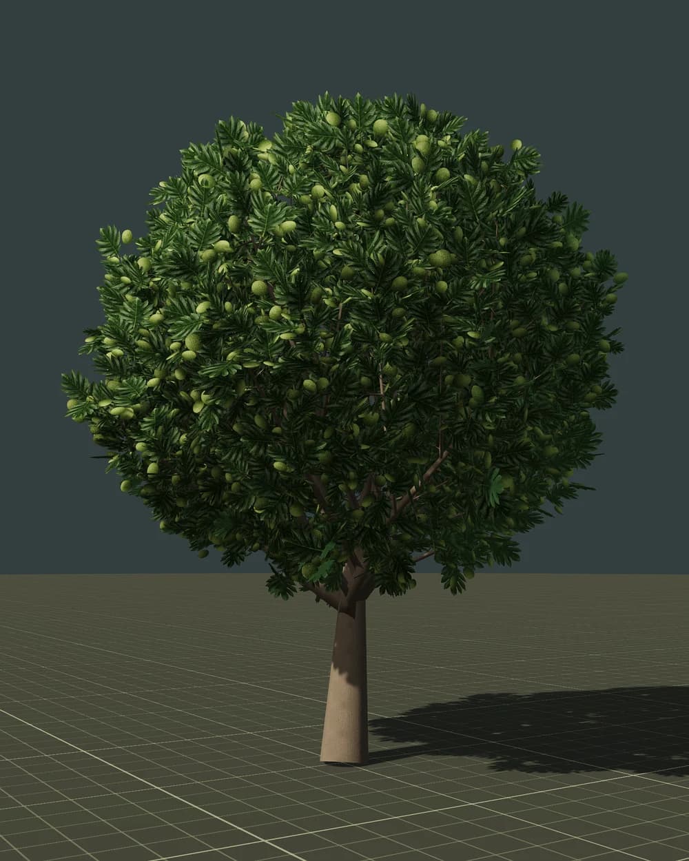 Breadfruit — 3D