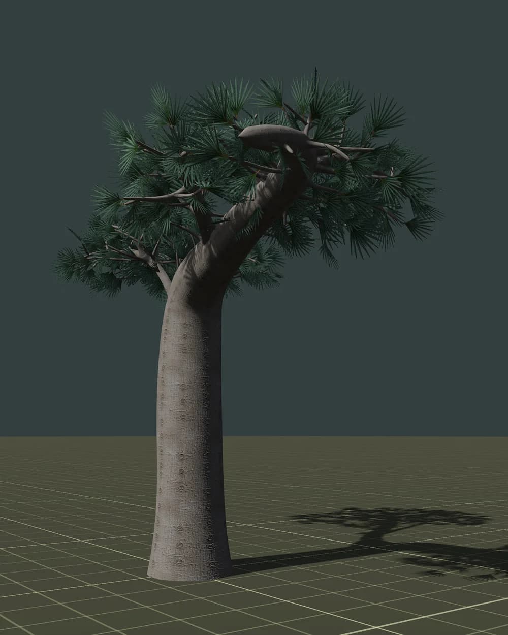Драконово дерево — 3D