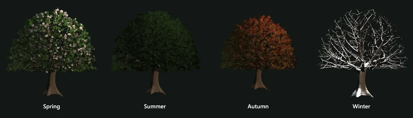 Primavera, estate, autunno e inverno